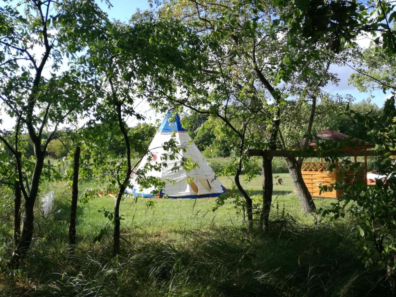 מלון נובה וארפנו Glamping Podgrodzie מראה חיצוני תמונה